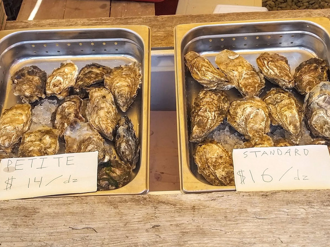 Homer Farmers Market-荷马必去景点