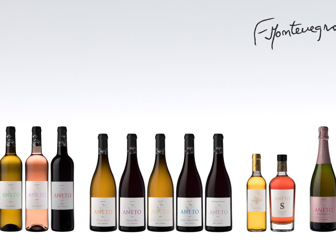 Aneto Wines景点图片