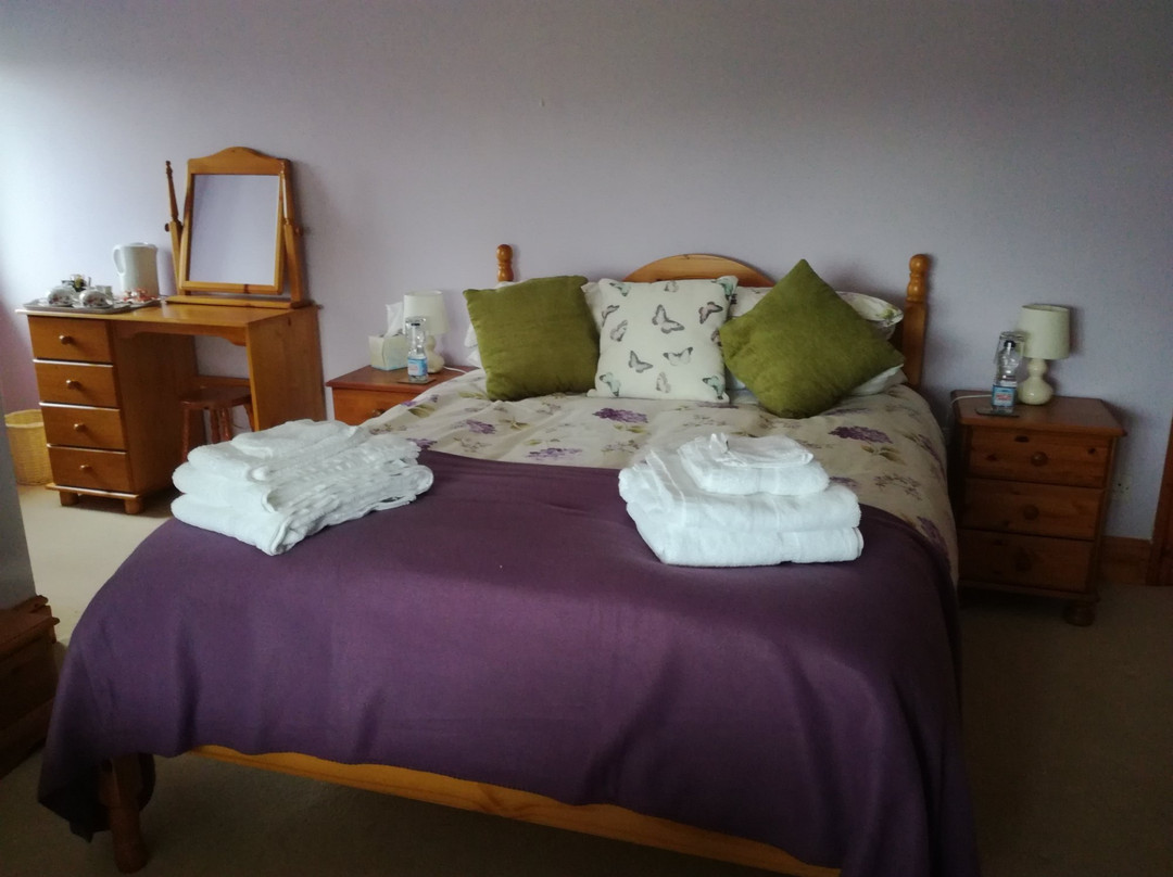 Llanddeusant酒店住宿-Ty Newydd Bed and Breakfast