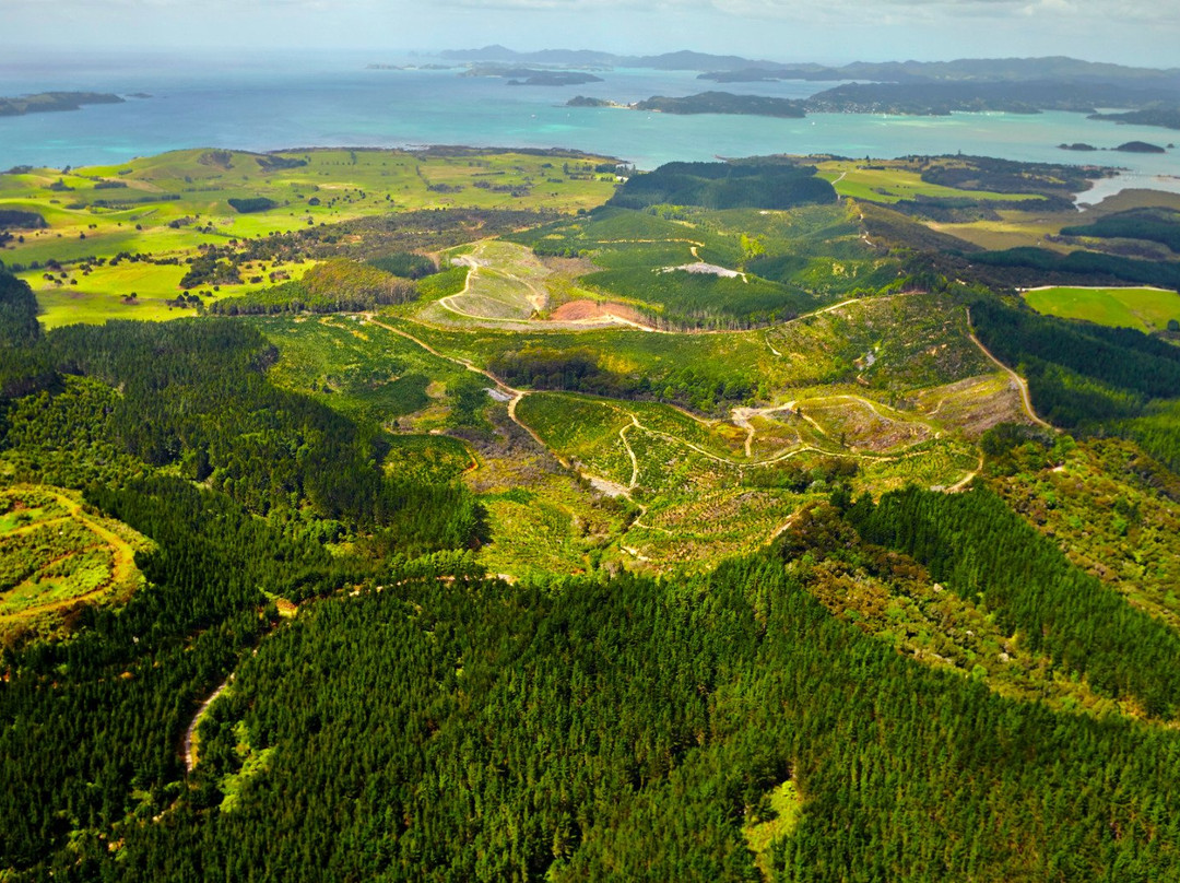 Waitangi旅游攻略图片