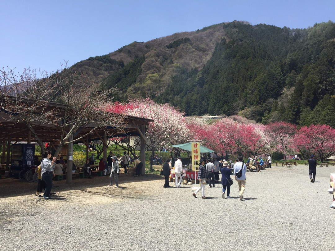 Sonohara Village景点图片