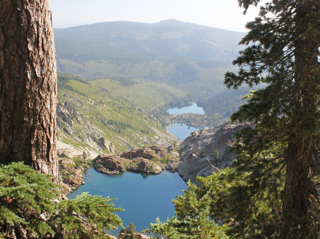 Sardine Lake Campground