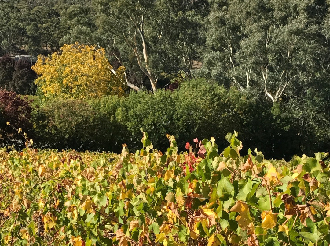 Penna Lane Wines-Penwortham必去景点