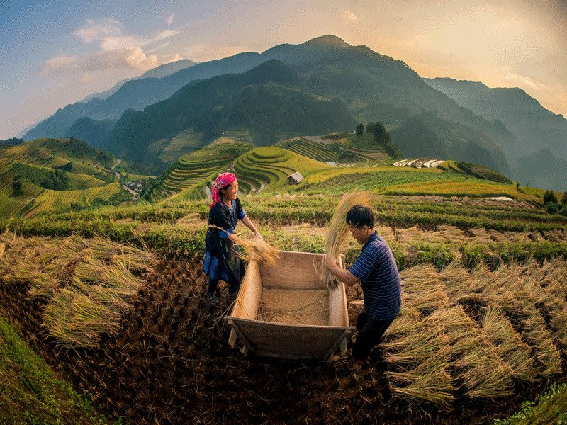 Trekking Sapa