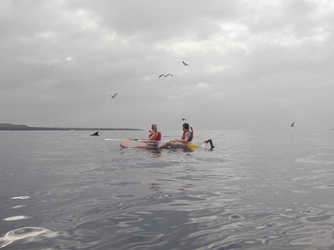 Eco-Tours Tenerife-洛斯克里斯蒂亚诺斯必去景点
