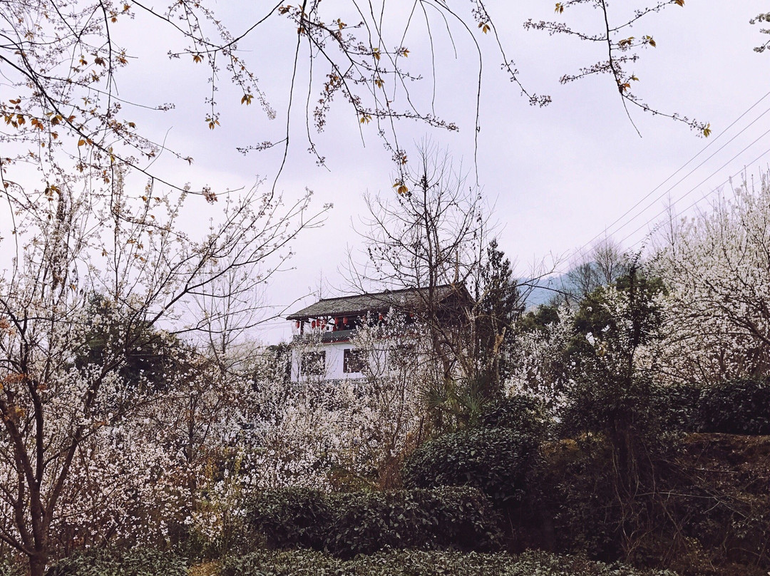 蒲江嘉年CEO度假酒店大溪谷店主图