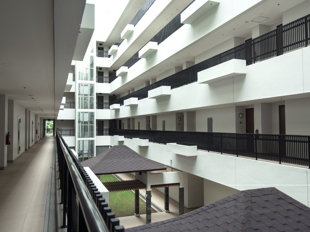 Le Premier Deltamas主图