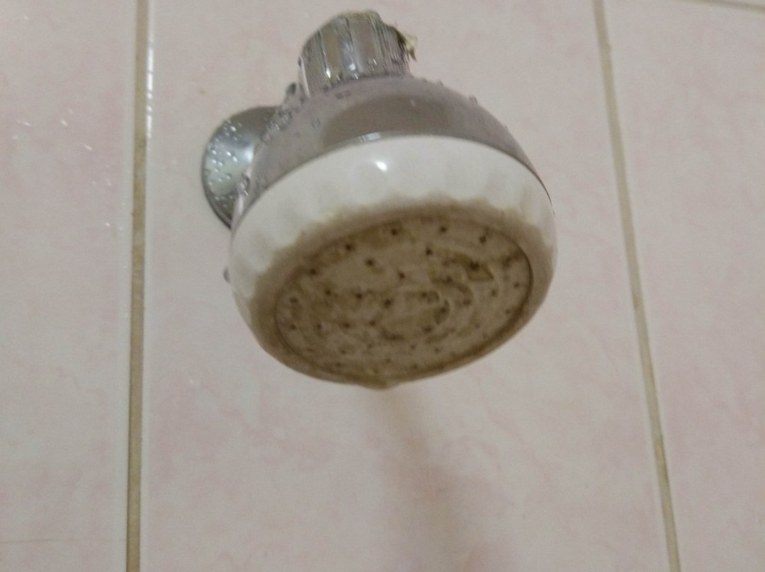 Bronx Guest House主图