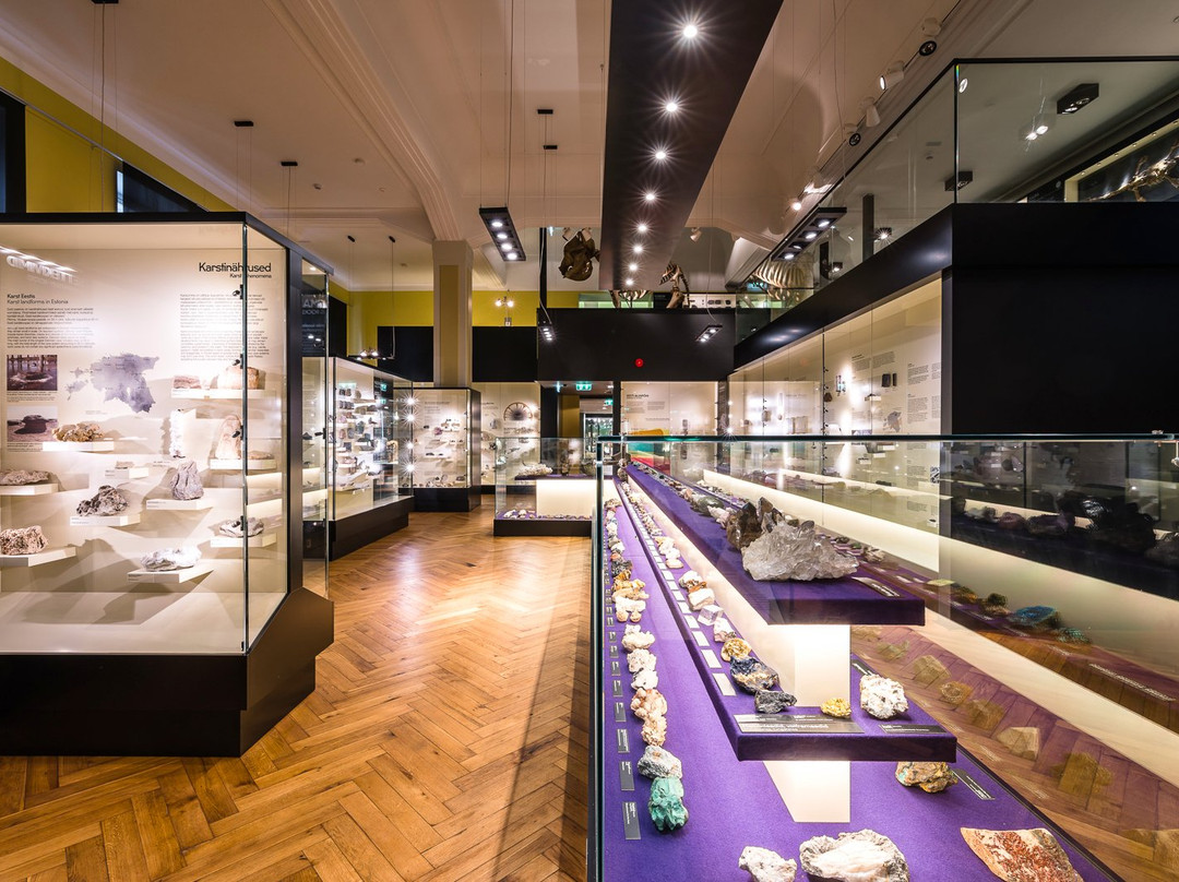 University of Tartu Natural History Museum-塔尔图必去景点
