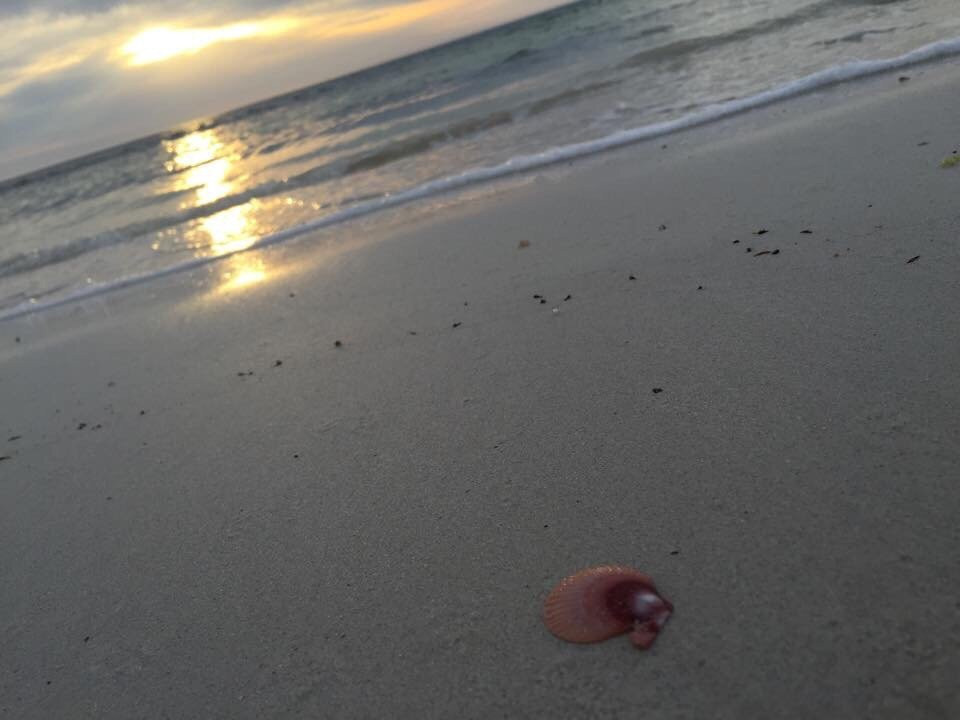 Parsons Beach-维克多港必去景点