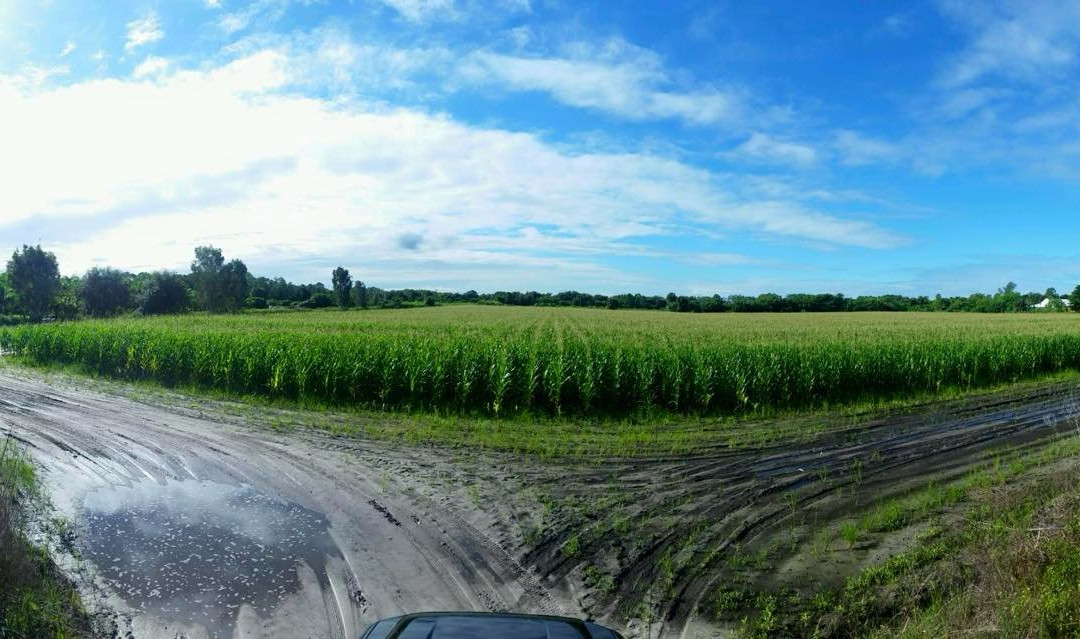 Farmer Mikes U Pick Of Bonita Springs-博尼塔斯普林斯必去景点