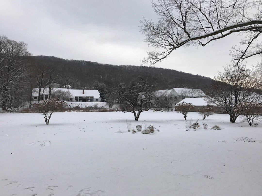 The Kent Collection | The Firefly Inn主图