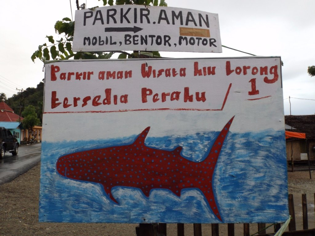 Whale Shark Sightseeing Spot景点图片