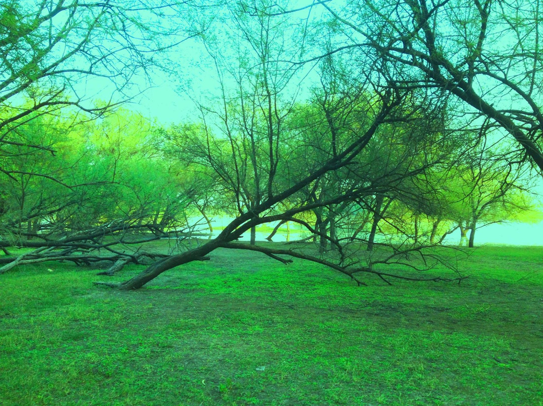 Thol Lake景点图片