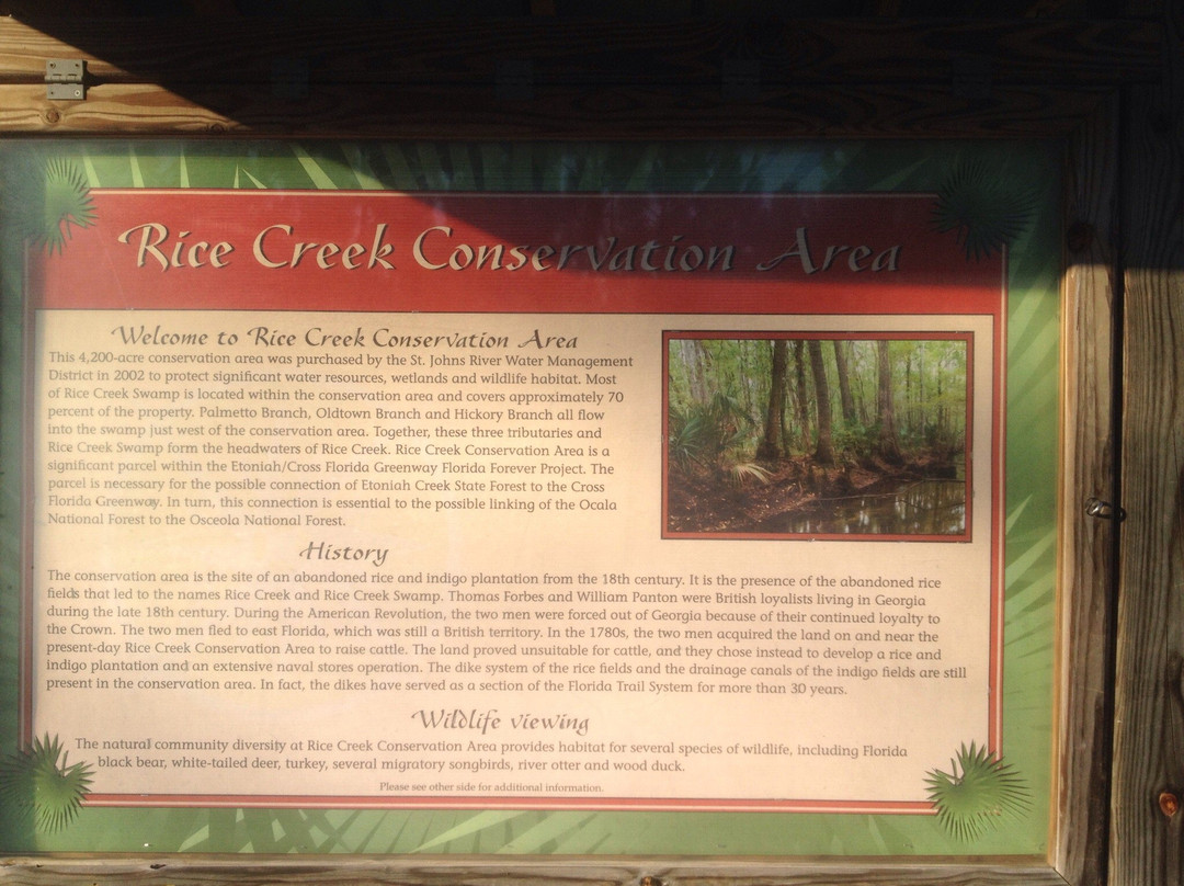 Rice Creek Conservation Area-Palatka必去景点