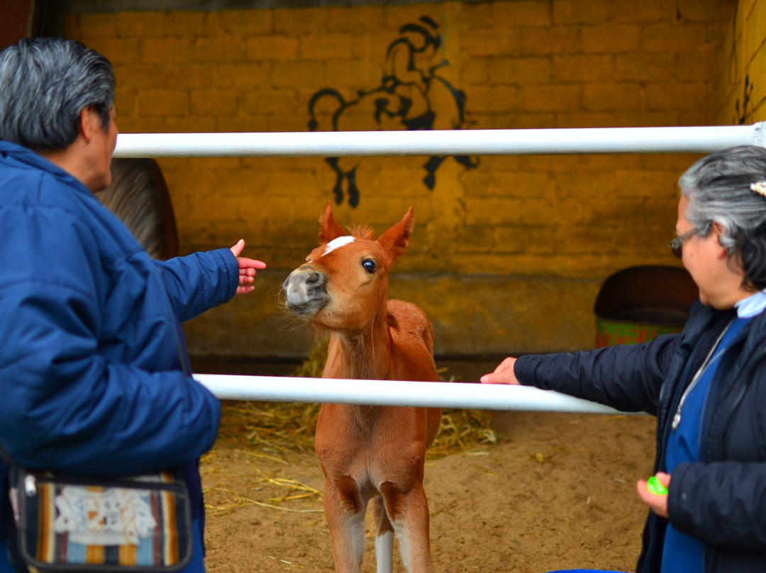 Granja Integral San Martin-墨西哥城必去景点
