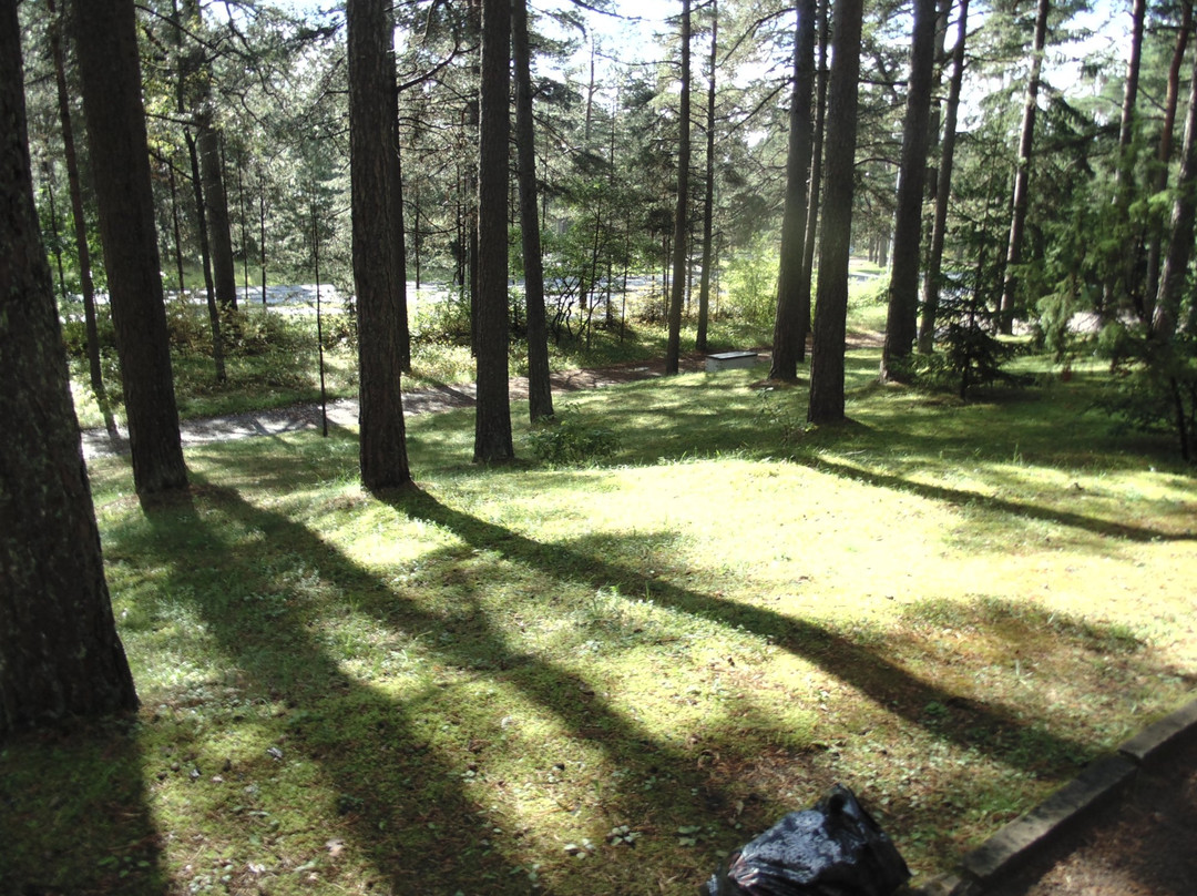 Metsakalmistu Cemetery-塔林必去景点