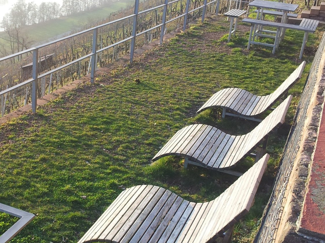 Picknickplattform mit Sonnenliegen im Weinberg-埃兰巴克必去景点