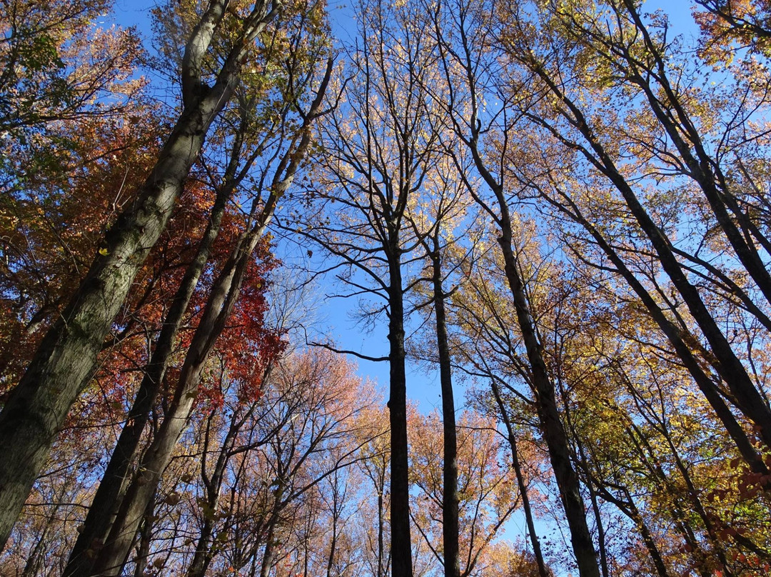 Rancocas Nature Center-Westampton必去景点