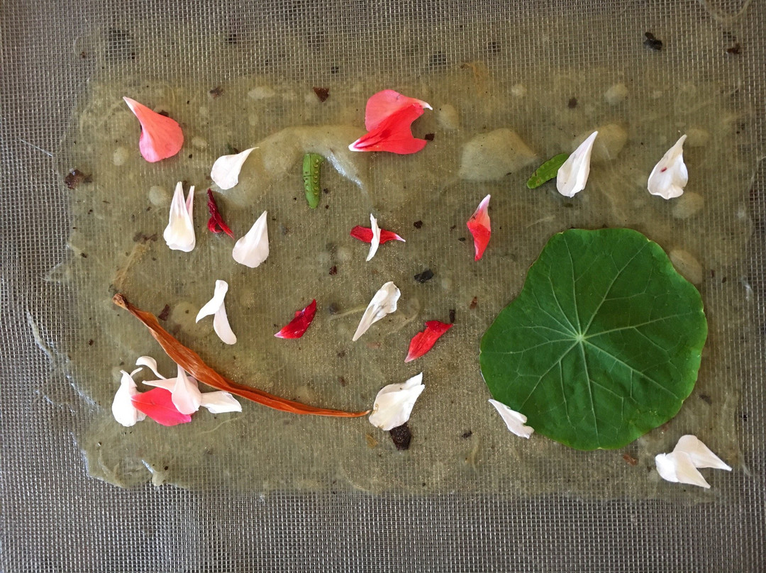 Tut Neyar - Handmade Paper-Zichron Yaakov必去景点