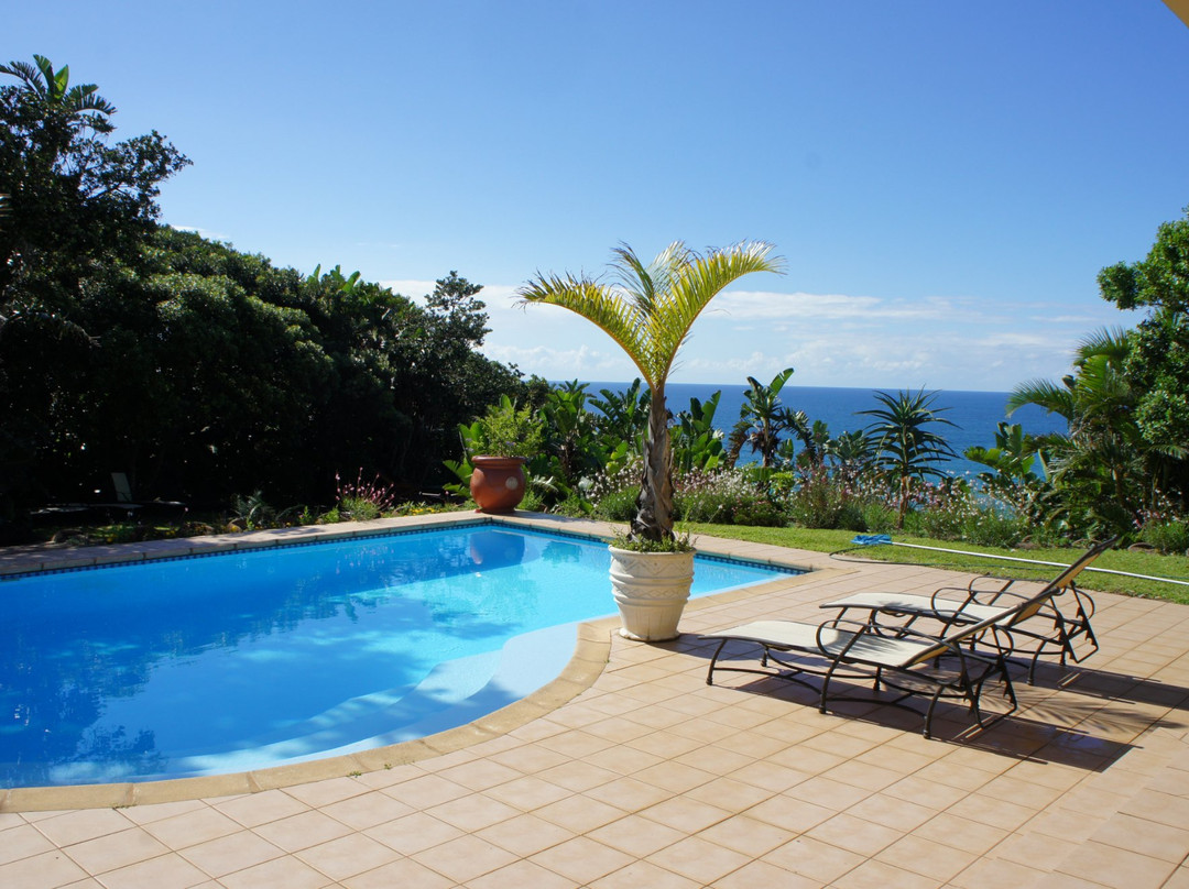 Trafalgar酒店住宿-Albatross Guesthouse