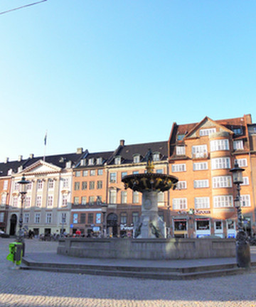 Gammeltorv景点门票图片