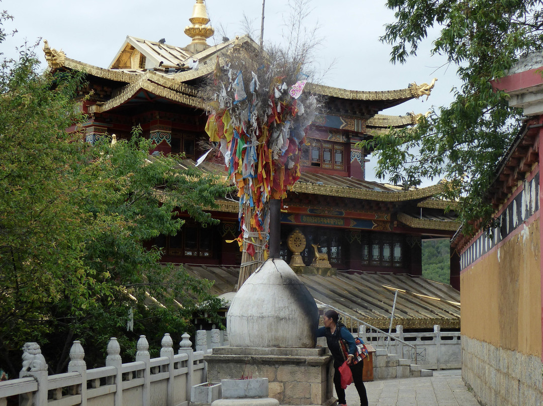 香格里拉藏族民俗馆景点图片