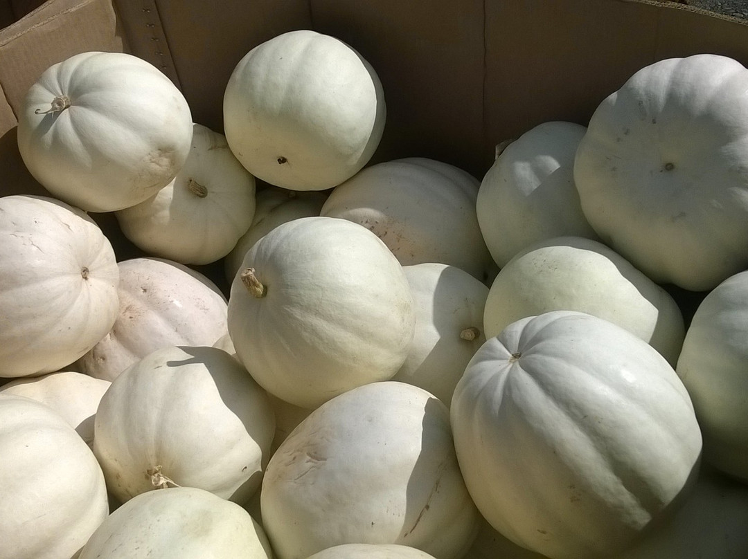 Cider Mill Playhouse-Endicott必去景点