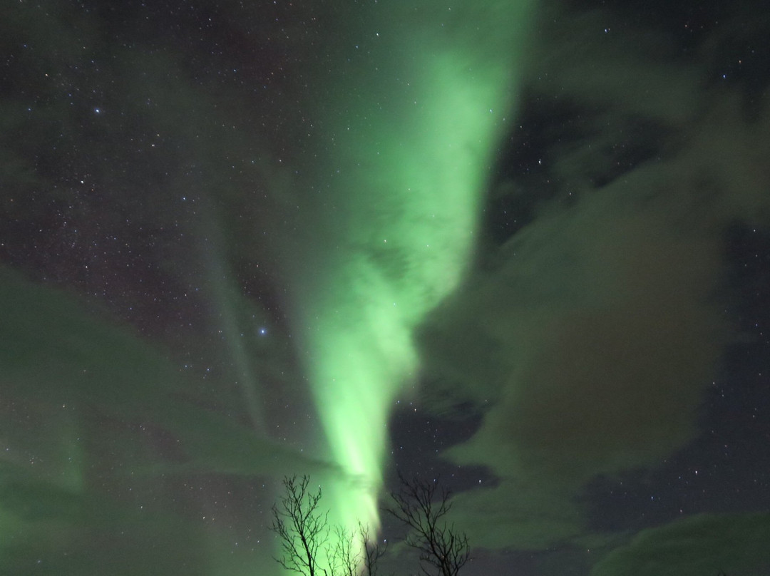 Abisko Guide - Day Tours-阿比斯库必去景点