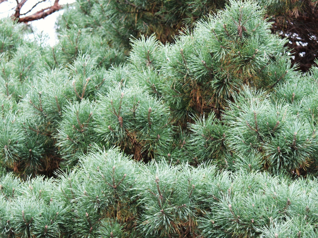 Shingnobee Recreation Area-Walker必去景点