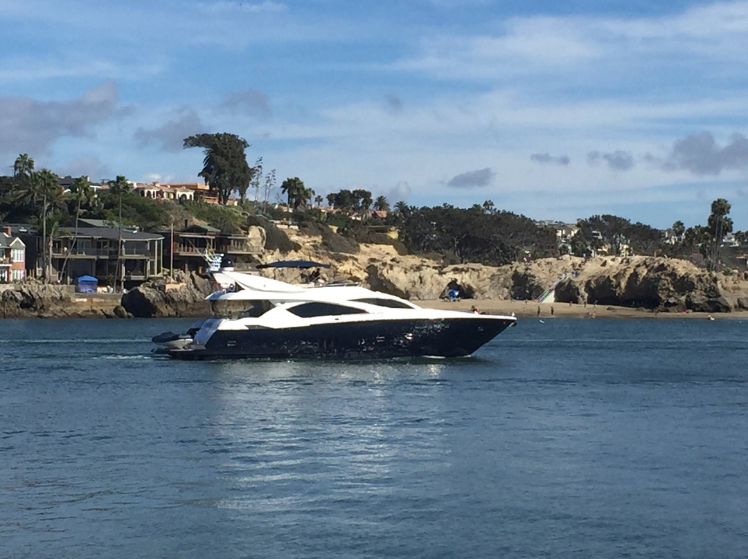 West Jetty View Park-纽波特海滩必去景点