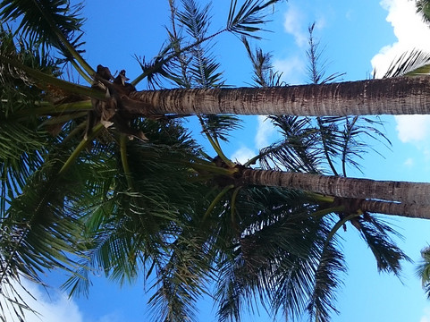 Island Breeze, Busena Resort-名护市必去景点