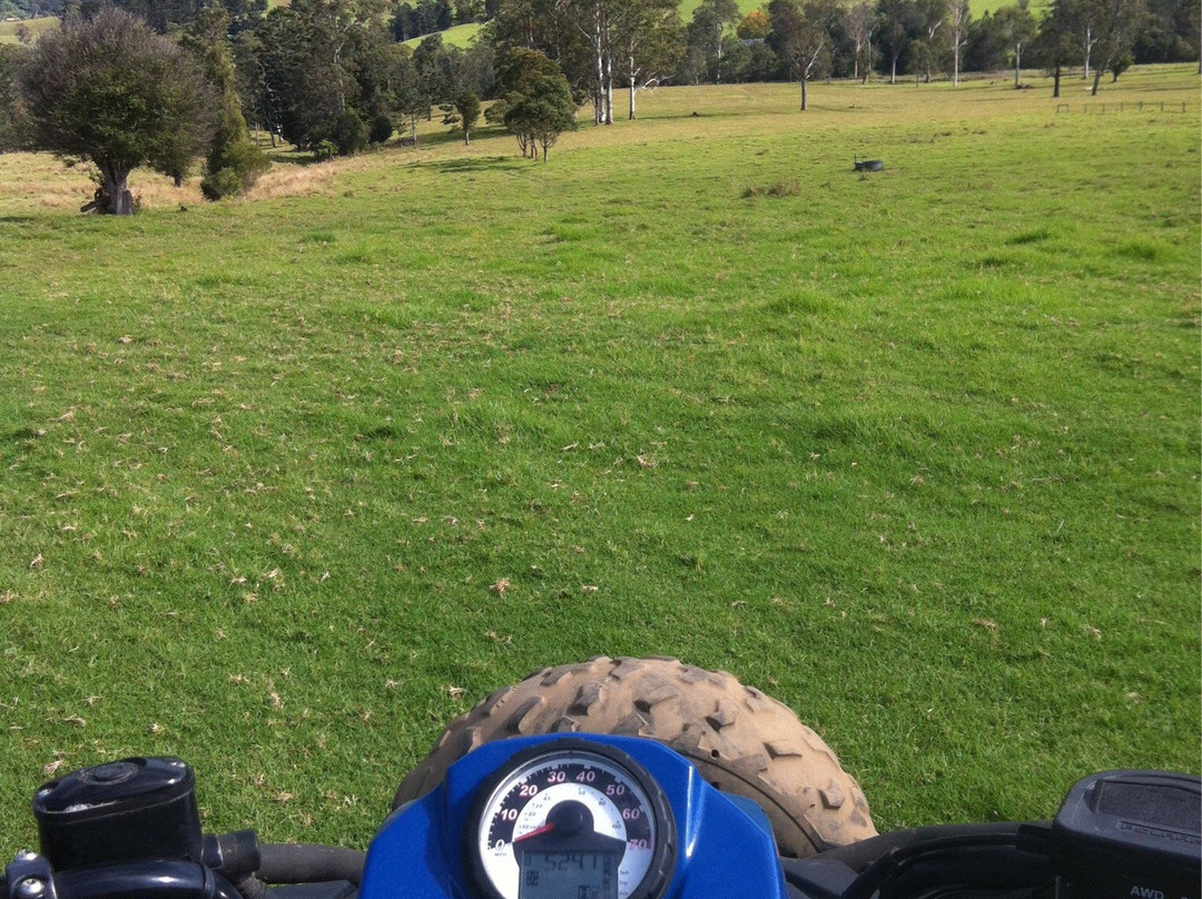 Gold Coast ATV Adventures-黄金海岸必去景点