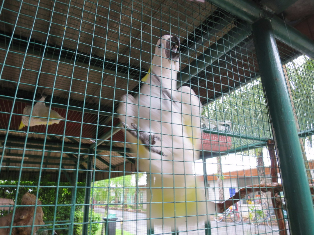 Suanpalm Farmnok景点图片