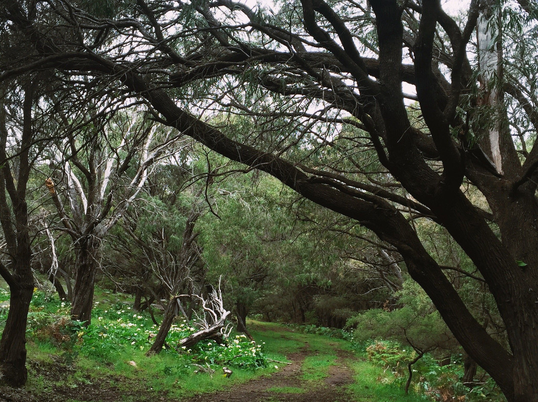 Margaret River Nature Tours-玛格丽特河必去景点