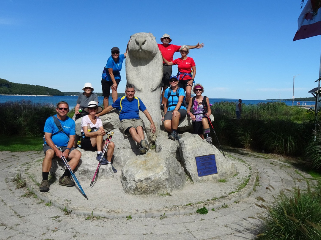 Wiarton Willie Statue景点图片