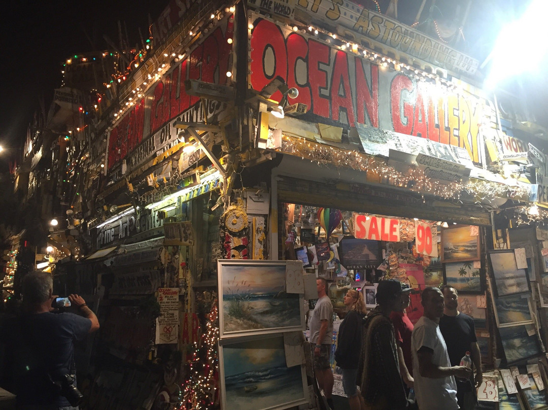 Ocean Gallery景点图片