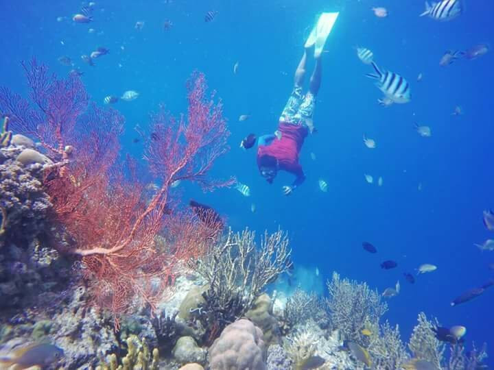 Sritanjung Tourism - Day Tour-巴纽旺宣必去景点