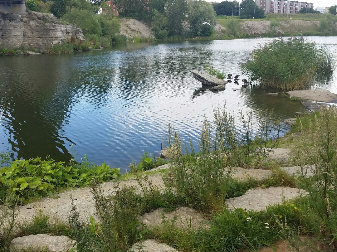 Pae park-塔林必去景点