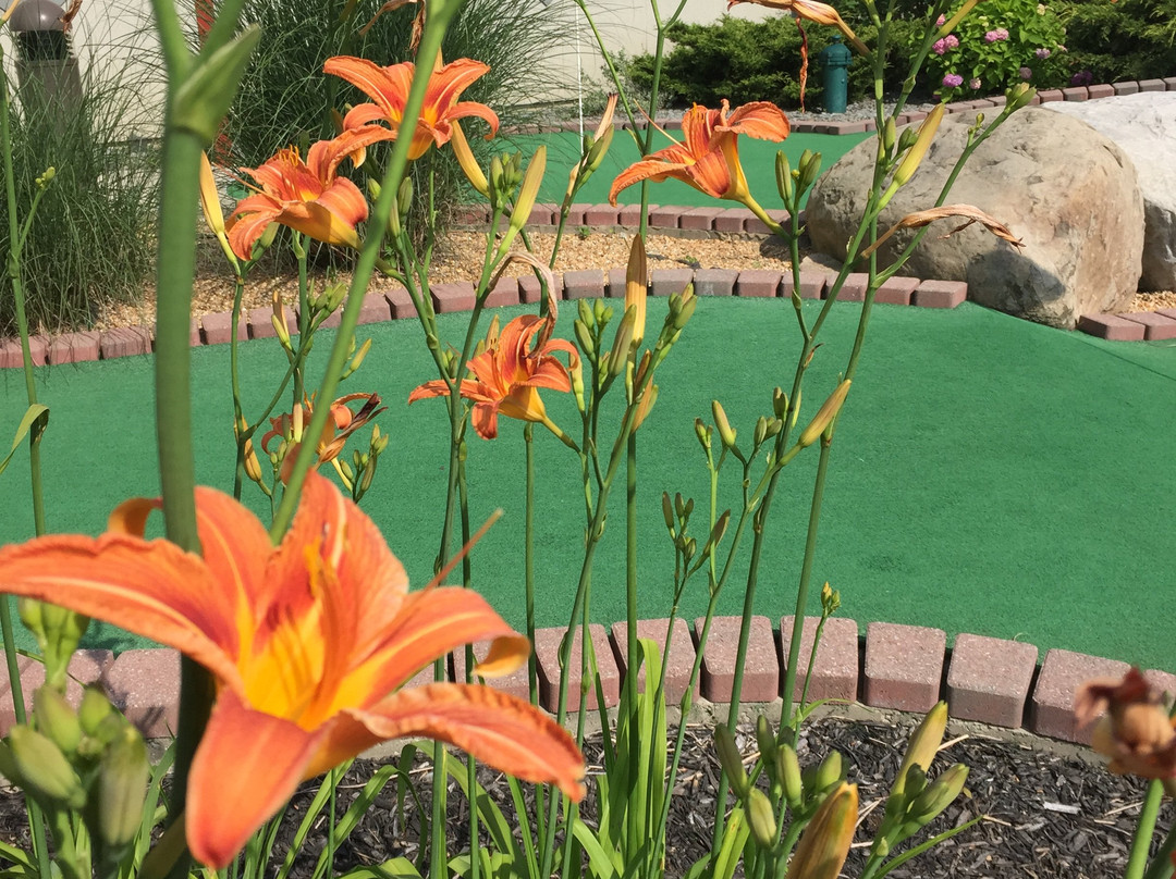 Castle Cove Mini Golf景点图片