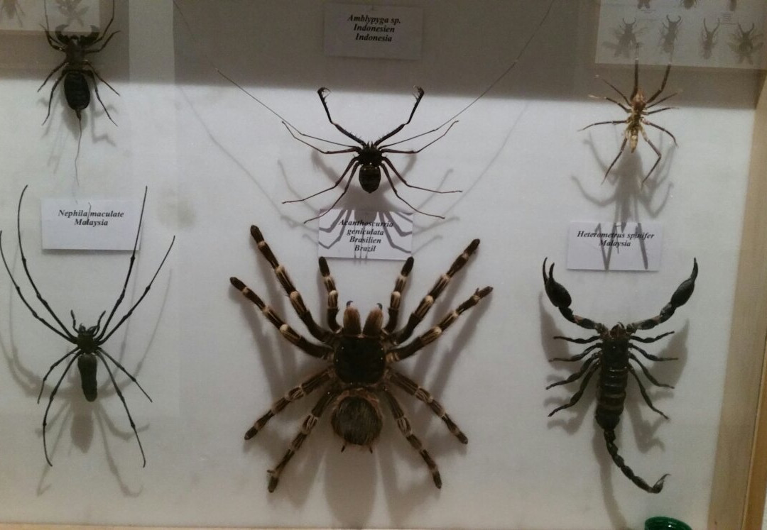 Dschungelhaus in Tirol-Terfens必去景点