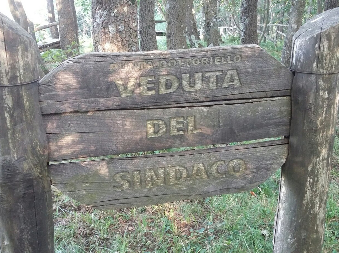 Foresta Regionale di Roccarainola景点图片