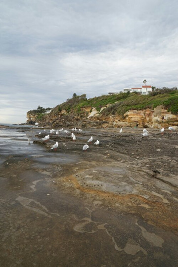 Manly Freshwater Parish-曼利议会必去景点