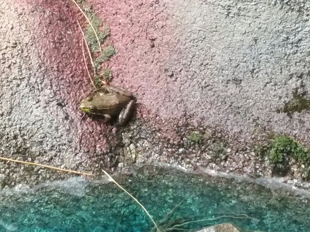 Blackbeard's Family Fun Park-班戈必去景点