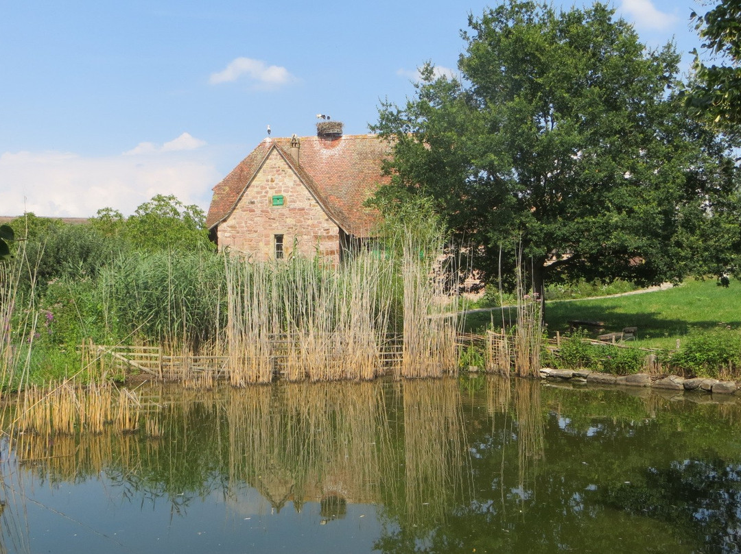 Parc Attractions Haut Rhin-科尔马必去景点