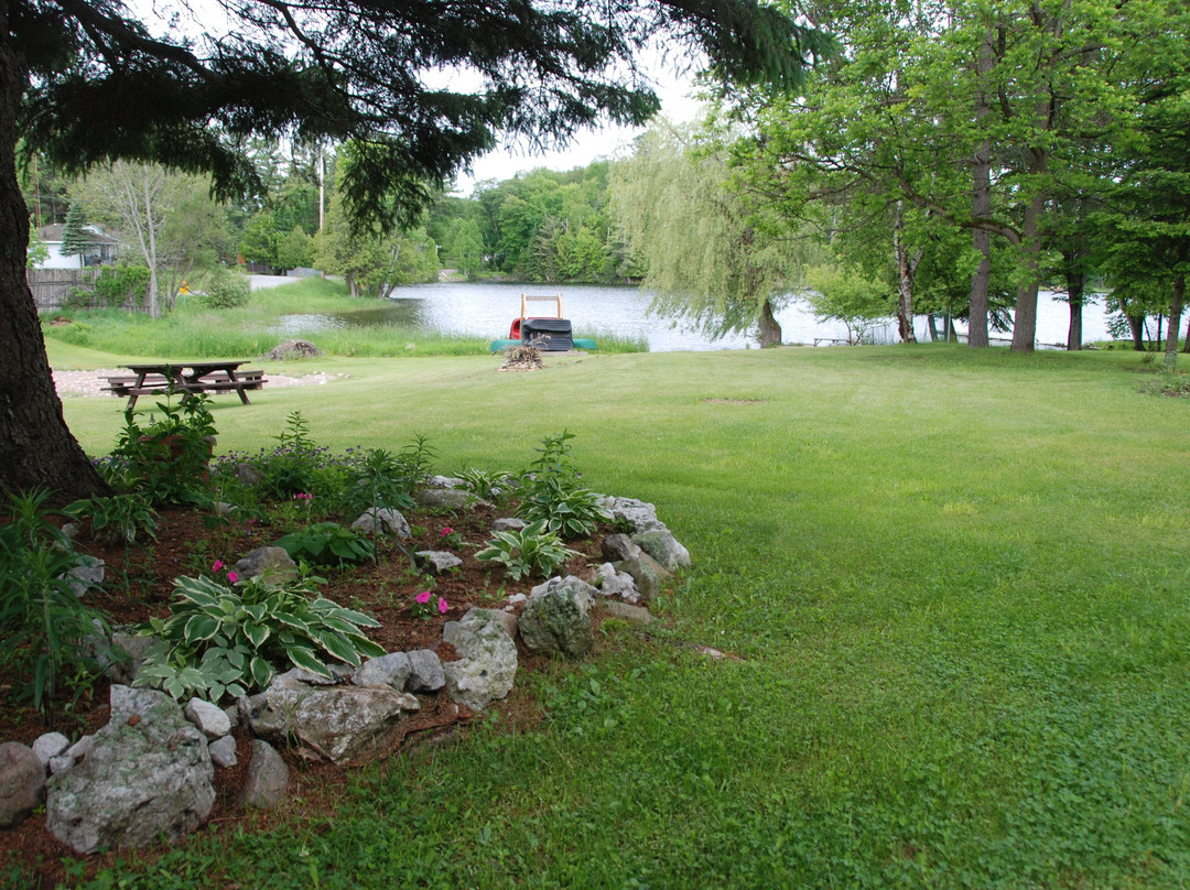 Teddy Bear Bed & Breakfast主图