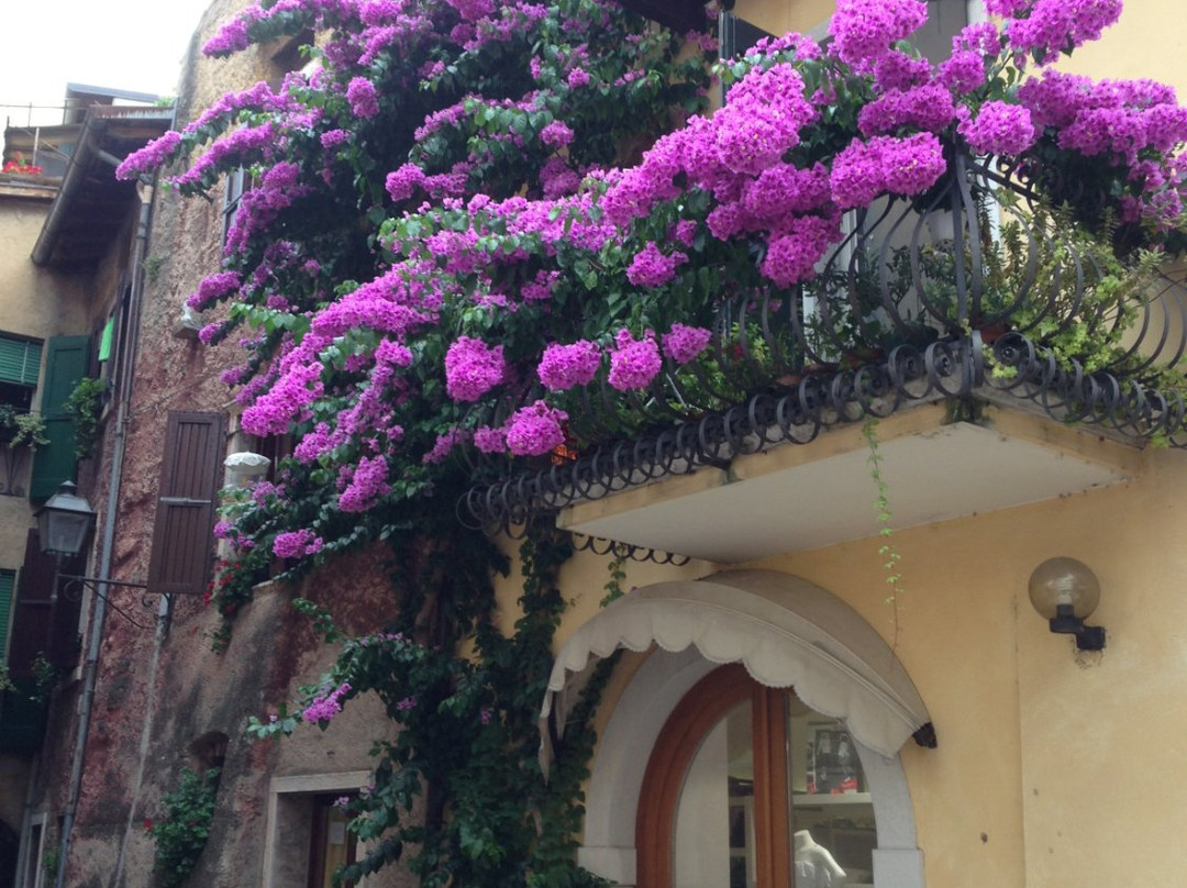 圣福斯蒂诺酒店主图