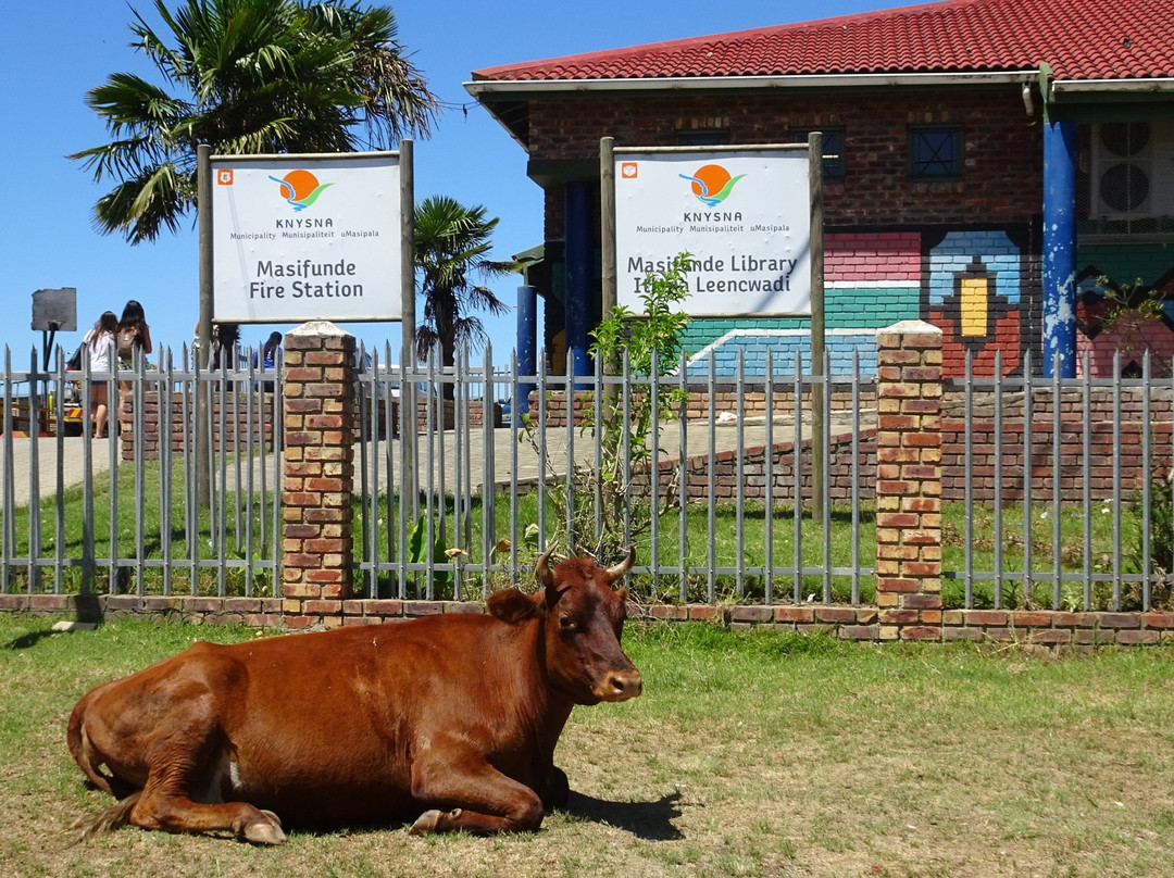 Peggy's African Art and Tours-克尼斯纳必去景点