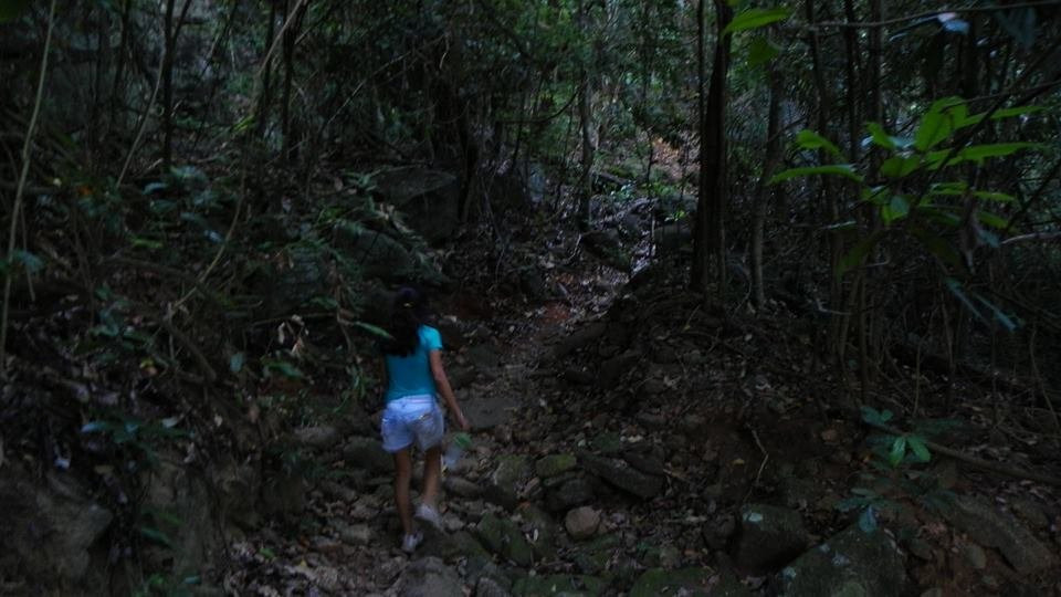 Área de Proteção Ambiental Pedra do Elefante-Nova Venecia必去景点