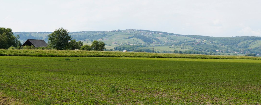 Weingut Wachter-Wiesler-Deutsch Schuetzen-Eisenberg必去景点